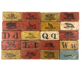 Set of 20 Beautiful 19th C. Milton Bradley Alphabet / Animal Blocks
