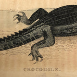 Rattlesnake and Crocodile Antique Bookplate