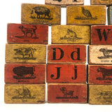 Set of 20 Beautiful 19th C. Milton Bradley Alphabet / Animal Blocks