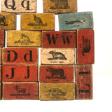 Set of 20 Beautiful 19th C. Milton Bradley Alphabet / Animal Blocks