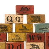 Set of 20 Beautiful 19th C. Milton Bradley Alphabet / Animal Blocks