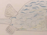 Sweet 1930 Tropical Fish Pencil and Crayon Drawing
