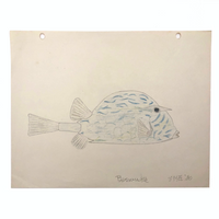 Sweet 1930 Tropical Fish Pencil and Crayon Drawing