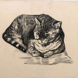 Pen and Ink Cat Drawing