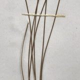 Eriophorum Virginicum (Tawny Cottongrass) Plant Specimen from 1878 Herbarium