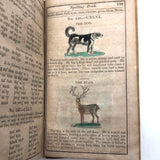 1844 Elementary Spelling Book by Noah Webster with Lots of Good Words!