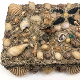 Excellent Antique Shellwork Jewelry Box