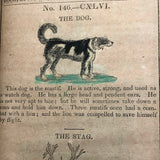 1844 Elementary Spelling Book by Noah Webster with Lots of Good Words!