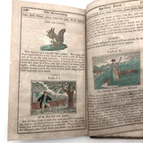 1844 Elementary Spelling Book by Noah Webster with Lots of Good Words!