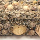 Excellent Antique Shellwork Jewelry Box