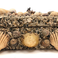 Excellent Antique Shellwork Jewelry Box
