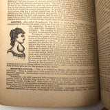 Dr. B.J Kimball's "The Doctor at Home" 1883 Medical Guide for Humans and Horses!
