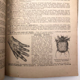 Dr. B.J Kimball's "The Doctor at Home" 1883 Medical Guide for Humans and Horses!
