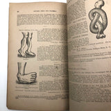 Dr. B.J Kimball's "The Doctor at Home" 1883 Medical Guide for Humans and Horses!