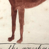 Late 1830s Naive British Ink and Watercolor: The Greyhound