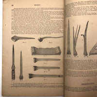 Dr. B.J Kimball's "The Doctor at Home" 1883 Medical Guide for Humans and Horses!