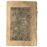 Dr. B.J Kimball's "The Doctor at Home" 1883 Medical Guide for Humans and Horses!