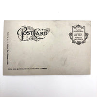 A Case of Necessity Box of Safety Pins Antique Postcard