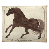 Late 1830s Naive British Ink and Watercolor: The Wild Persian Mare