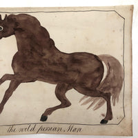 Late 1830s Naive British Ink and Watercolor: The Wild Persian Mare