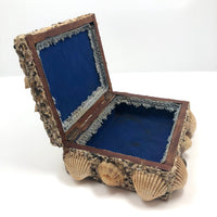Excellent Antique Shellwork Jewelry Box