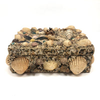 Excellent Antique Shellwork Jewelry Box