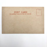 Cat with Football and Chick in Egg Handmade Vintage Postcard