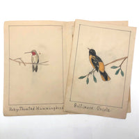 Richard Wilkinson's Eight Birds!