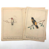 Richard Wilkinson's Eight Birds!