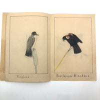 Richard Wilkinson's Eight Birds!