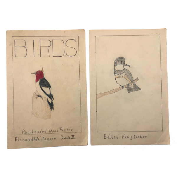 Richard Wilkinson's Eight Birds!