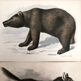 Antique Brittan Animal Cards - Set of Four