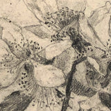 Delicate Pencil Drawing of Flowering Branches with Thorns (Hawthorn?)