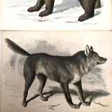 Antique Brittan Animal Cards - Set of Four
