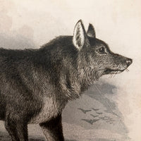 Antique Brittan Animal Cards - Set of Four
