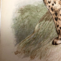 Antique Brittan Animal Cards - Set of Four