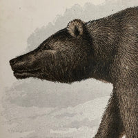 Antique Brittan Animal Cards - Set of Four