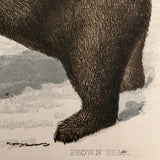 Antique Brittan Animal Cards - Set of Four