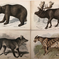 Antique Brittan Animal Cards - Set of Four