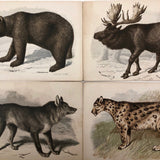 Antique Brittan Animal Cards - Set of Four