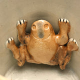 Sunderland Early 19th Century Lustreware Mug with Frog Inside!