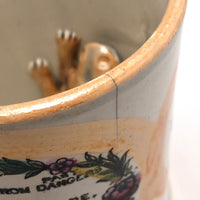 Sunderland Early 19th Century Lustreware Mug with Frog Inside!