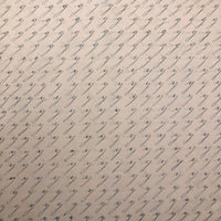 19th Century Penmanship Practice Notebook with Spencerian Bird Drawing