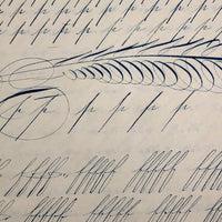 19th Century Penmanship Practice Notebook with Spencerian Bird Drawing