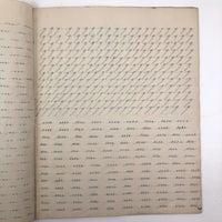 19th Century Penmanship Practice Notebook with Spencerian Bird Drawing