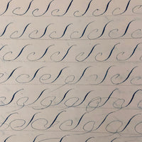 19th Century Penmanship Practice Notebook with Spencerian Bird Drawing