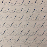 19th Century Penmanship Practice Notebook with Spencerian Bird Drawing