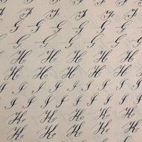 19th Century Penmanship Practice Notebook with Spencerian Bird Drawing