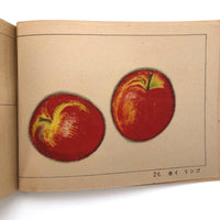 1946 Japanese School Drawing Textbook