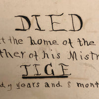 Hand-written Obituary for Beloved Cat Tige, 1880-1889